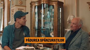 Episodul 8