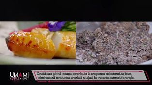 Ediția 13