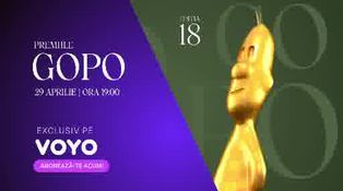 Promo Gopo 2024