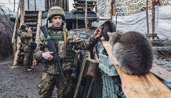 Armata de pisici a Ucrainei și alte legende ale războiului din est. Avalanșă de fake news și imagini trucate