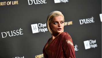 Bebe Rexha, show total în avionul său privat. Cântăreața le-a distras atenția piloților