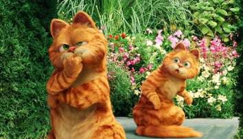 Garfield in viata reala. O pisica seamana perfect cu personajul animat si se chinuie sa incapa pe usa - VIDEO