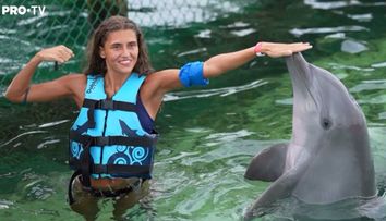 Tigrii înoată cu delfinii ”sălbatici”: ”Doar în filme am văzut așa ceva”