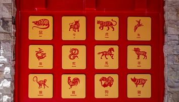 Horoscop chinezesc 9-15 martie. Ce se întâmplă cu Șarpele în 11 martie și de ce această zi poate aduce oportunități neașteptate și noroc la bani