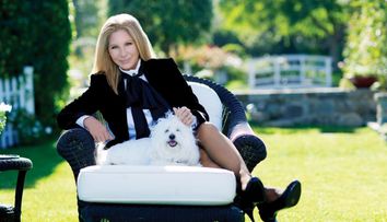 Barbra Streisand și-a dus câinii clonați la cimitir, la mormântul „mamei” lor, cățelușa Samantha
