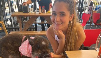 O femeie care are un porc pe post de copil, virală pe TikTok! Doarme cu el și l-a învățat să vorbească