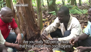 Cum reactioneaza muncitorii de pe plantatiile de cacao cand gusta ciocolata pentru prima oara - VIDEO