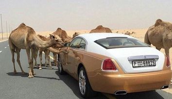 10 lucruri extrem de scumpe pe care si le permit milionarii din Dubai. Excentricitatile de care se bucura in fiecare zi