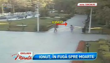 Rasturnare teribila de situatie in cazul copilului sfasiat de caini. Ce au aflat anchetatorii. Imagini surprinse de camerele de supraveghere din parc