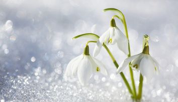 Ninge de Paște și de 1 Mai în România! Meteorologii anunță în ce zonă din țara noastră se întorc ninsorile