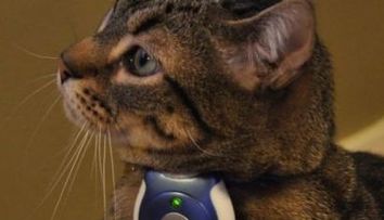 Uncle Milton Pet’s Eye sau spionul din viata animalului dumneavoastra