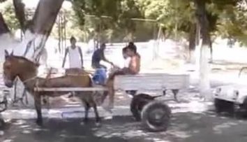 Cum sa faci o parcare paralela cu o caruta trasa de magar! VIDEO