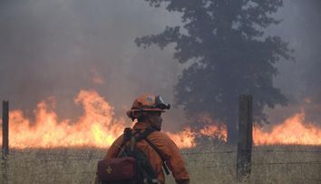 A cauzat un incendiu pe 15 kilometri patrati de padure si a fost arestat. Politistilor nu le-a venit sa creada cand au aflat numele suspectului