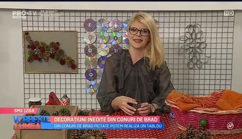 VIDEO Decorațiuni inedite din conuri de brad