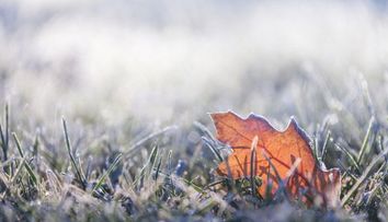 VIDEO Prognoza meteo: vreme mohorâtă