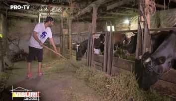 Arhitecții de la Visuri la cheie au preluat și munca de jos. Cum s-au descurcat în grajd, la animale