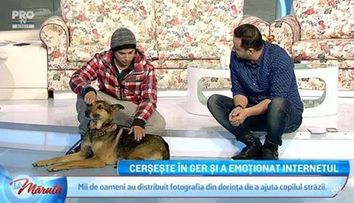 Gestul facut de Alina Borcea pentru baiatul care cerseste in ger. Cum a reactionat copilul cand a primit vestea