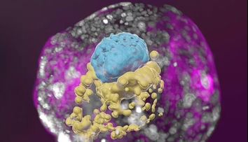 Oamenii de știință au conceput un embrion de om artificial, fără să folosească ovule și spermatozoizi ori un uter
