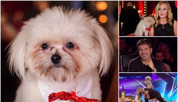 Simon Cowell i-a privit cu scepticism, dar pana si el a fost cucerit definitiv. Ce au facut pe scena un caine si stapana lui