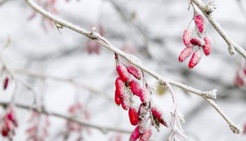 Revine iarna în România! Orașul în care ninge până în aprilie, potrivit meteorologilor de la AccuWeather: Nu scăpăm de zăpadă nici primăvara