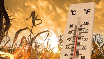 Cât ține valul de caniculă în România. Iulie aduce temperaturi record, anunță meteorologii