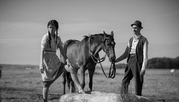 Premiera filmului „Moromeții 2” va avea loc pe 2 noiembrie la Festivalul de Film de la Salonic
