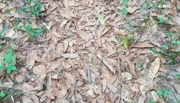 Multi petrec minute in sir inainte de a gasi sarpele din imagine. E provocarea momentului pe internet. Tu te descurci?