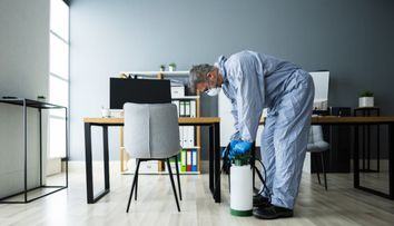 (P) Cum să scapi de ploșnițele de pat: De ce serviciile profesionale de dezinsecție sunt alegerea potrivită