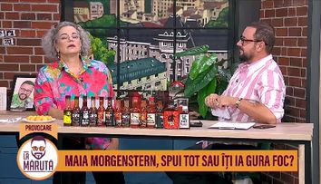 Ce a spus Maia Morgenstern despre 