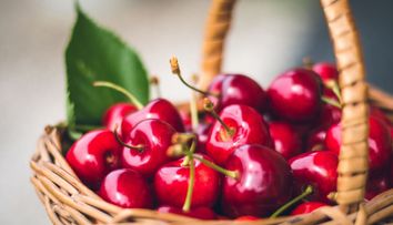 Solutia horticultorilor pentru a salva pomii fructiferi romanesti