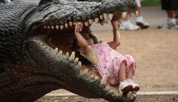 Vezi o serie de imagini care iti vor taia cu siguranta respiratia!