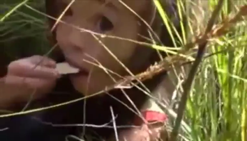 Povestea care a uimit o lume intreaga. Ce s-a intamplat cu o fetita de numai trei ani pierduta in padurea siberiana
