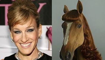 Celebritatile si suratele lor din lumea necuvantatoarelor. Asemanari super amuzante intre vedete si animale