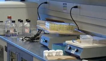 Cercetatorii canadieni au creat un vaccin care invata sistemul imunitar sa lupte impotriva cancerului
