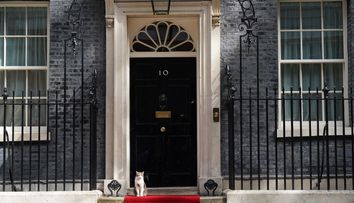 După venirea unui nou premier pe Downing Street nr 10, motanul Larry ar putea fi obligat să demisioneze. Care este motivul