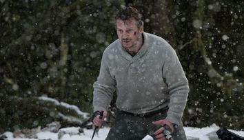 Baietii lui Liam Neeson, copii fidele ale tatalui lor. Cum au fost surprinsi alaturi de starul de cinema