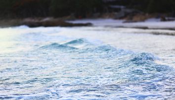Au aruncat in Ocean deseuri, iar apa le-a transformat in adevarate 