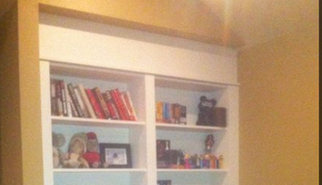 Ce au descoperit in spatele bibliotecii le-a dat fiori. Ce s-a intamplat cand copiii au atins raftul