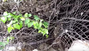 Au auzit zgomote ciudate, dar nu au banuit niciodata ca vor descoperi asa ceva. Ce au gasit