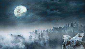 Semnificația spirituală a Lunii Lupului, prima lună plină din 2025. Are o importanță aparte în astrologie