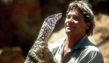 Un desen cu Steve Irwin, în Rai, alături de animalele din Australia, a devenit viral