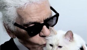 Choupette, povestea incredibilă a celei mai bogate pisici din lume. Stăpânul ei voia să se însoare cu ea