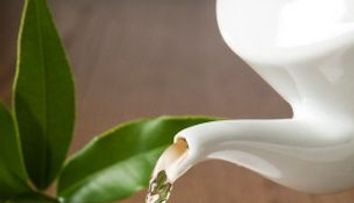 Ceaiul verde, bun pentru diete, prevenirea cancerului si alzheimerului