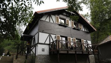 Visul Violetei a fost implinit aseara de echipa Visuri la cheie