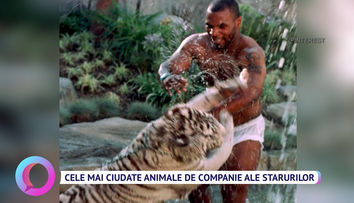 Cele mai ciudate animale de companie ale starurilor de la Hollywood