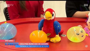 VIDEO Cele mai bune idei de jucării