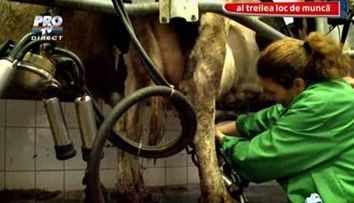 Ioana Tufar, la ferma de animale. Vezi cum s-a descurcat!