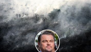 Leonardo DiCaprio promite un ajutor de 5 milioane de dolari pentru pădurea amazoniană