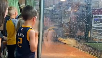 Un video cum un aligator atacă o femeie, devenit viral. Mai mulți copii au fost martori la scena înfiorătoare