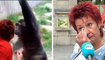 O femeie nu mai are voie să meargă la grădina zoologică, după ce s-a împrietenit prea mult cu un cimpanzeu